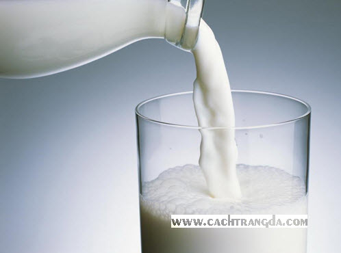 Sữa từ lâu đã nổi tiếng là thức uống có lợi cho làn da
